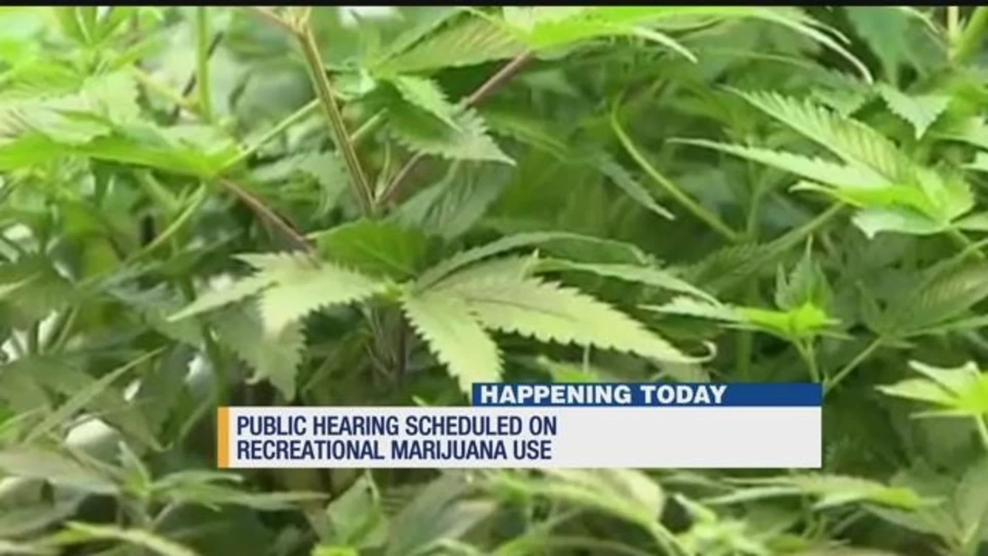 State lawmakers hold hearing on recreational pot