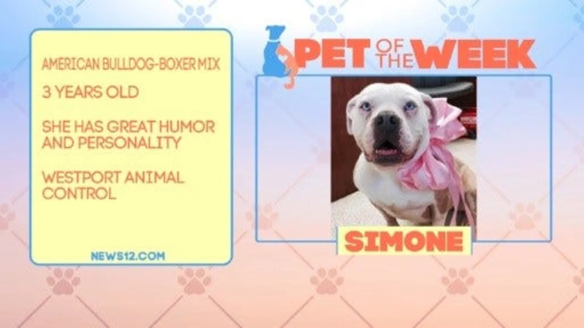 Pet of the Week: Simone