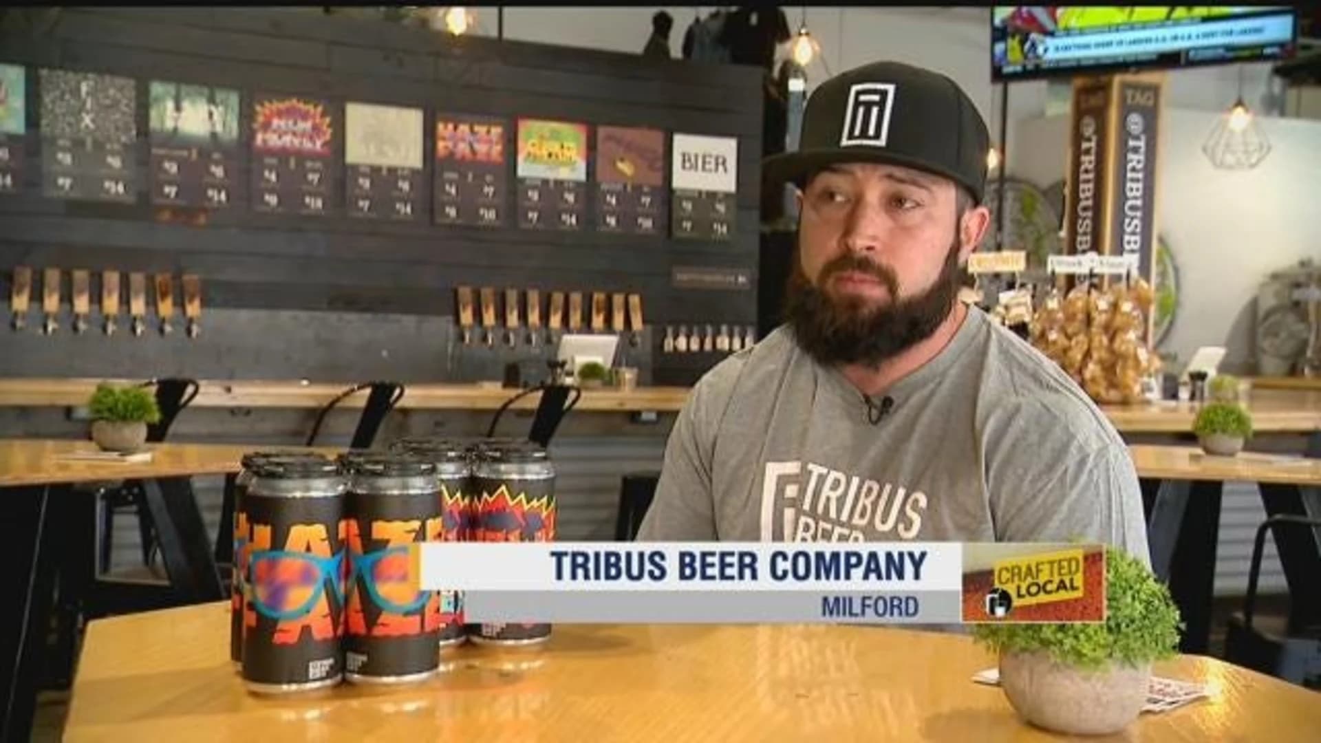 Crafted Local: Tribus Beer Company