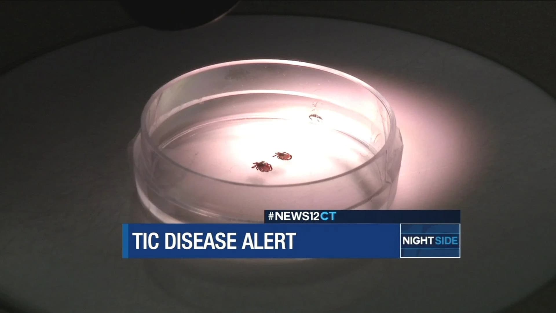 State officials: Warm weather leads to increased ticks