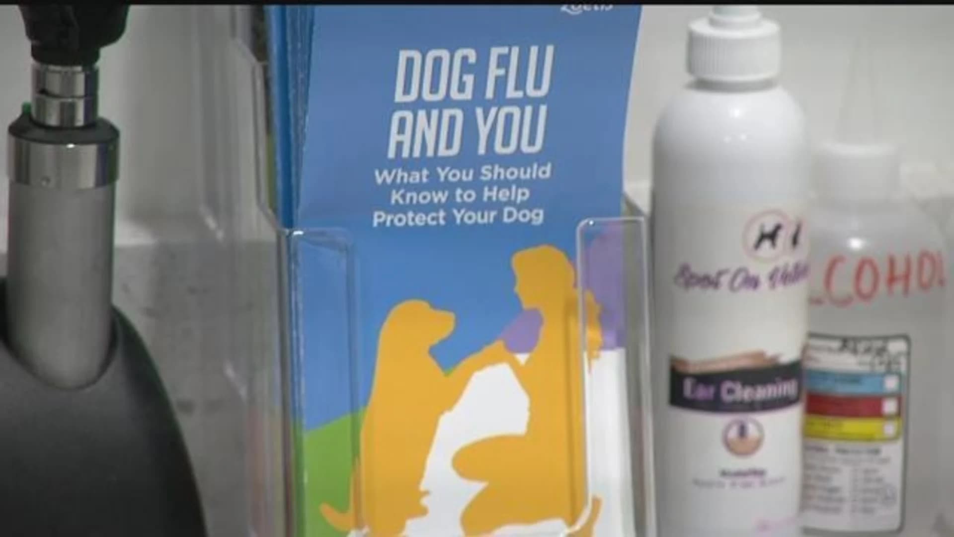 Vets urge vaccines as dog flu spreads in Stamford