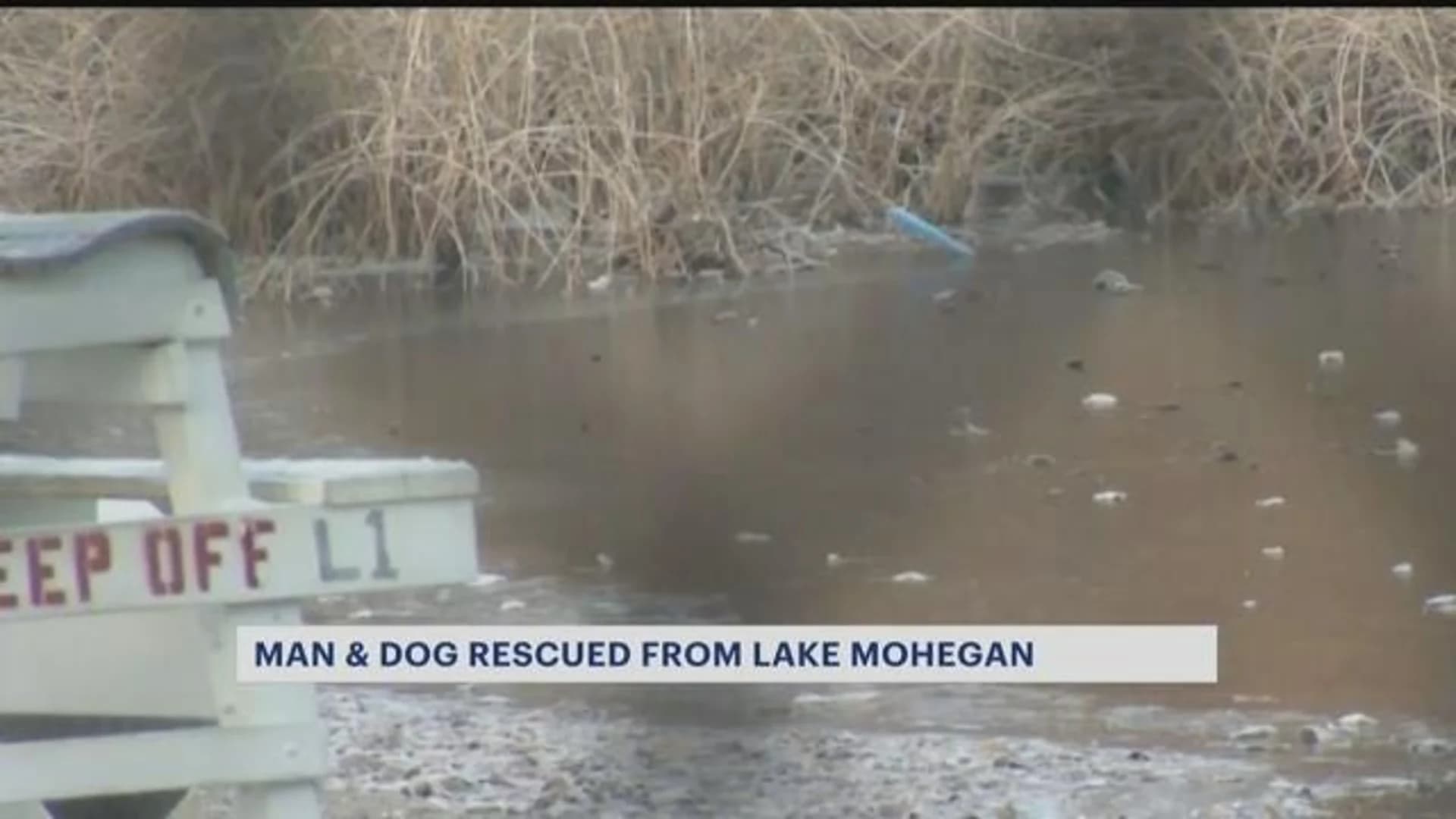 Officials: Man rescued from Lake Mohegan while trying to save dog