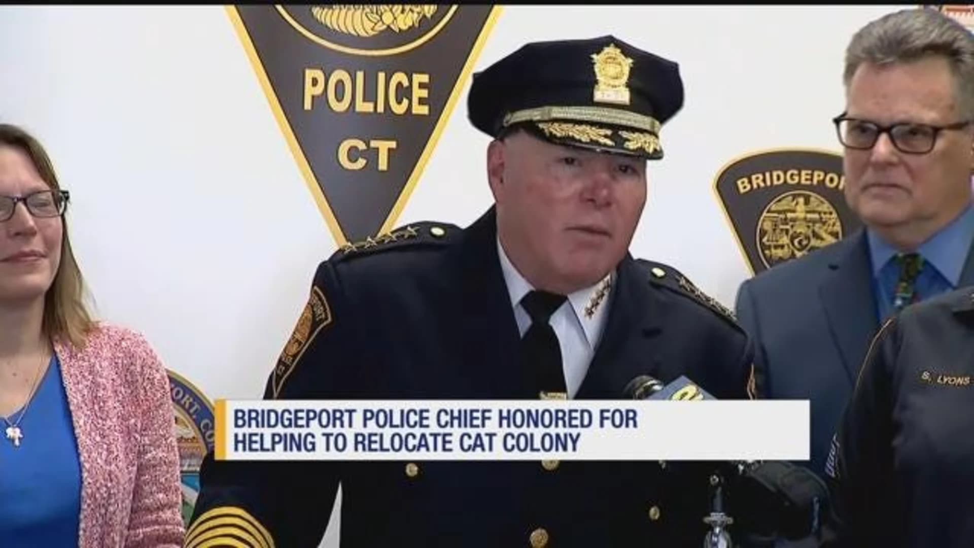 Bridgeport police chief honored for helping relocate cat colony