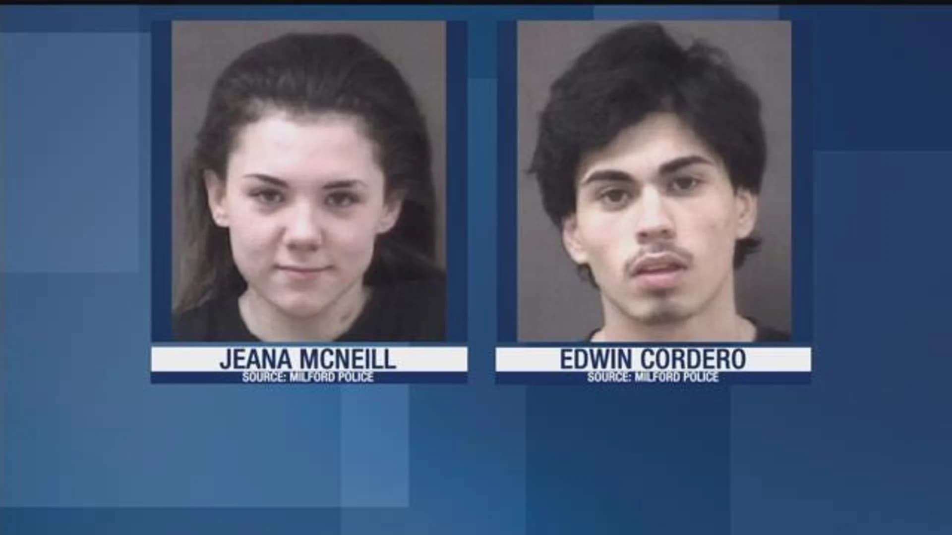 Police: Teens charged in Milford burglary spree