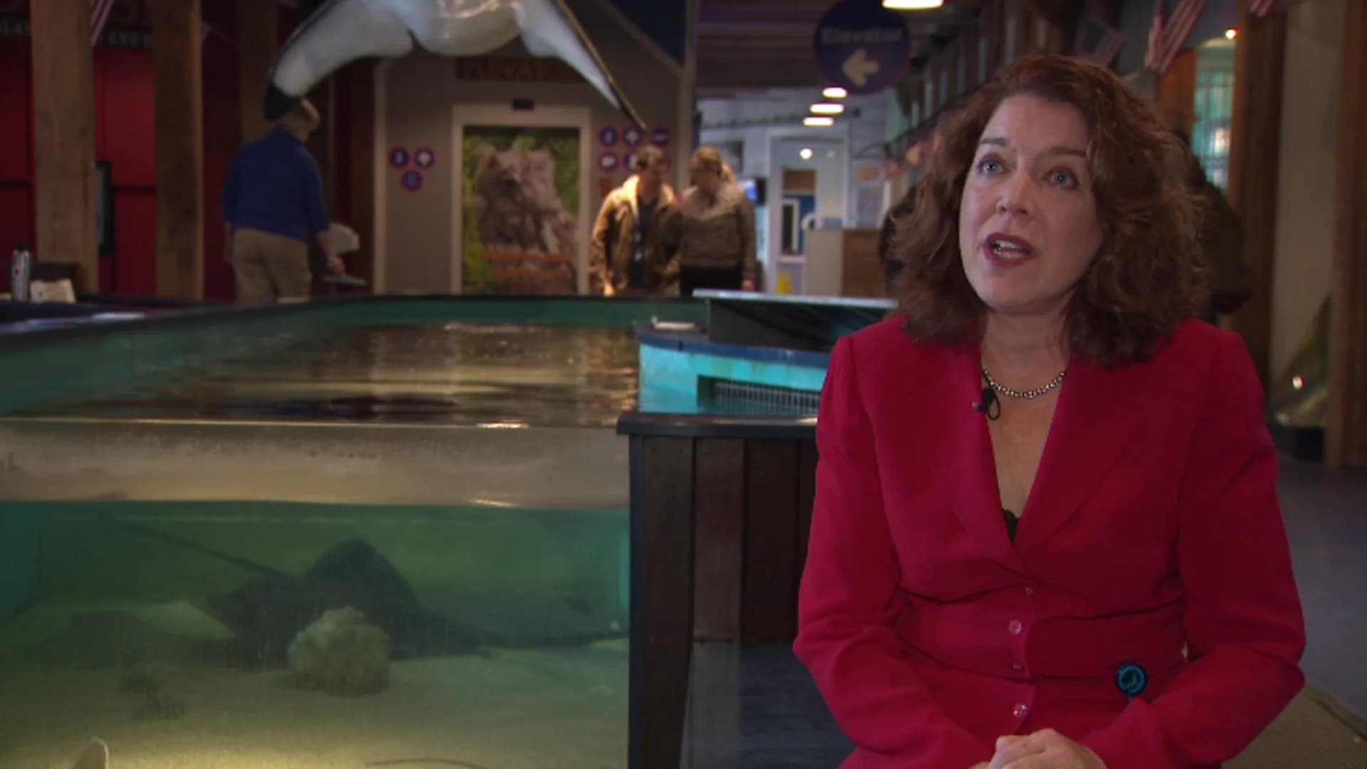 Maritime Aquarium president removed after only 3 months