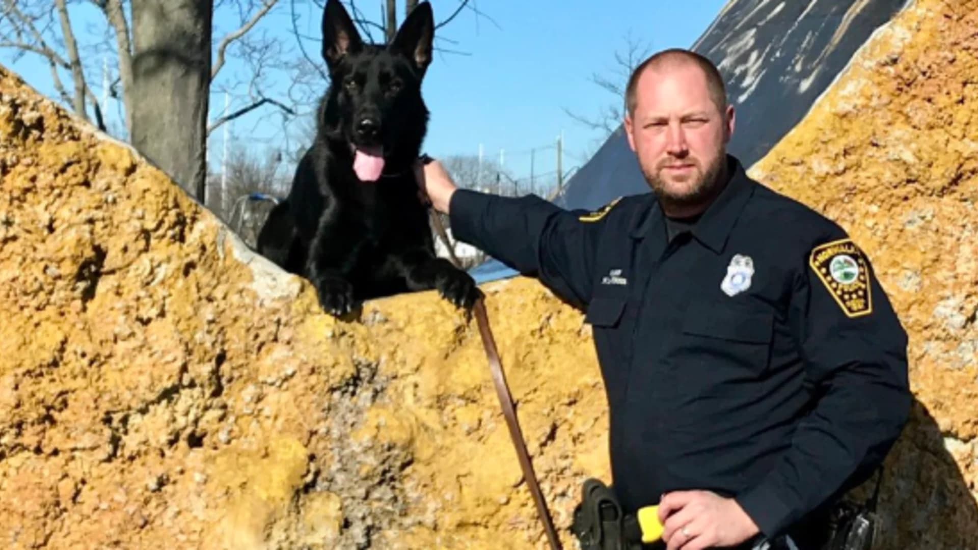 Norwalk police welcome new K-9 officers to department