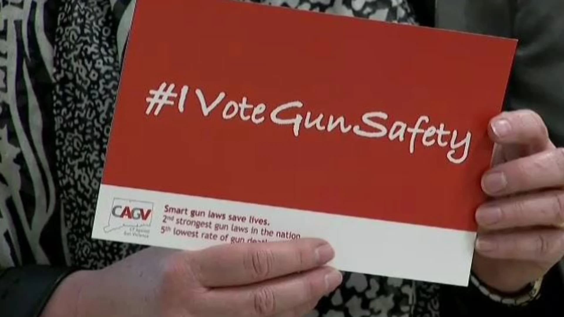 Connecticut Against Gun Violence pushes for gun safety