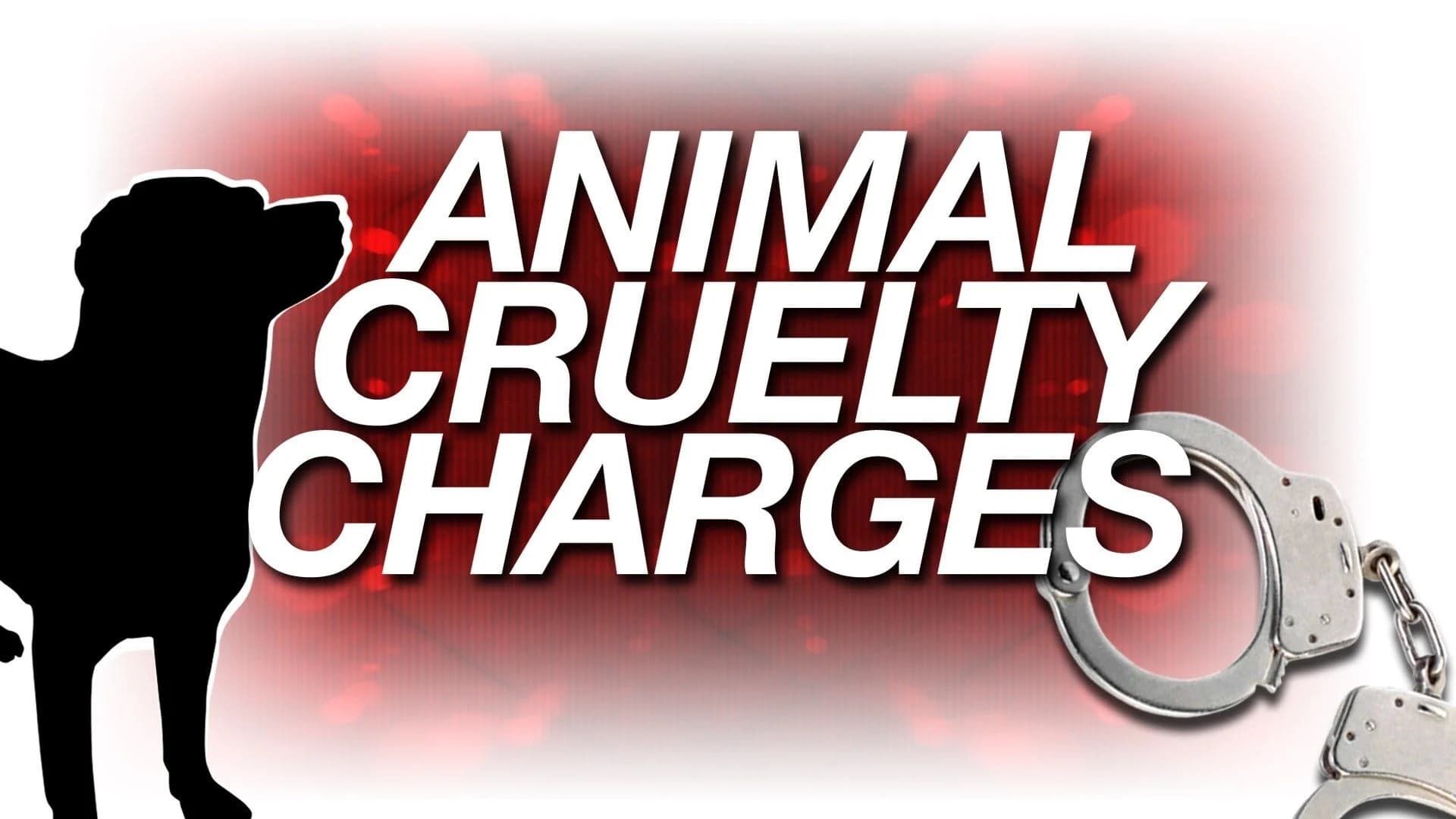Woman charged with animal cruelty after dog found starving
