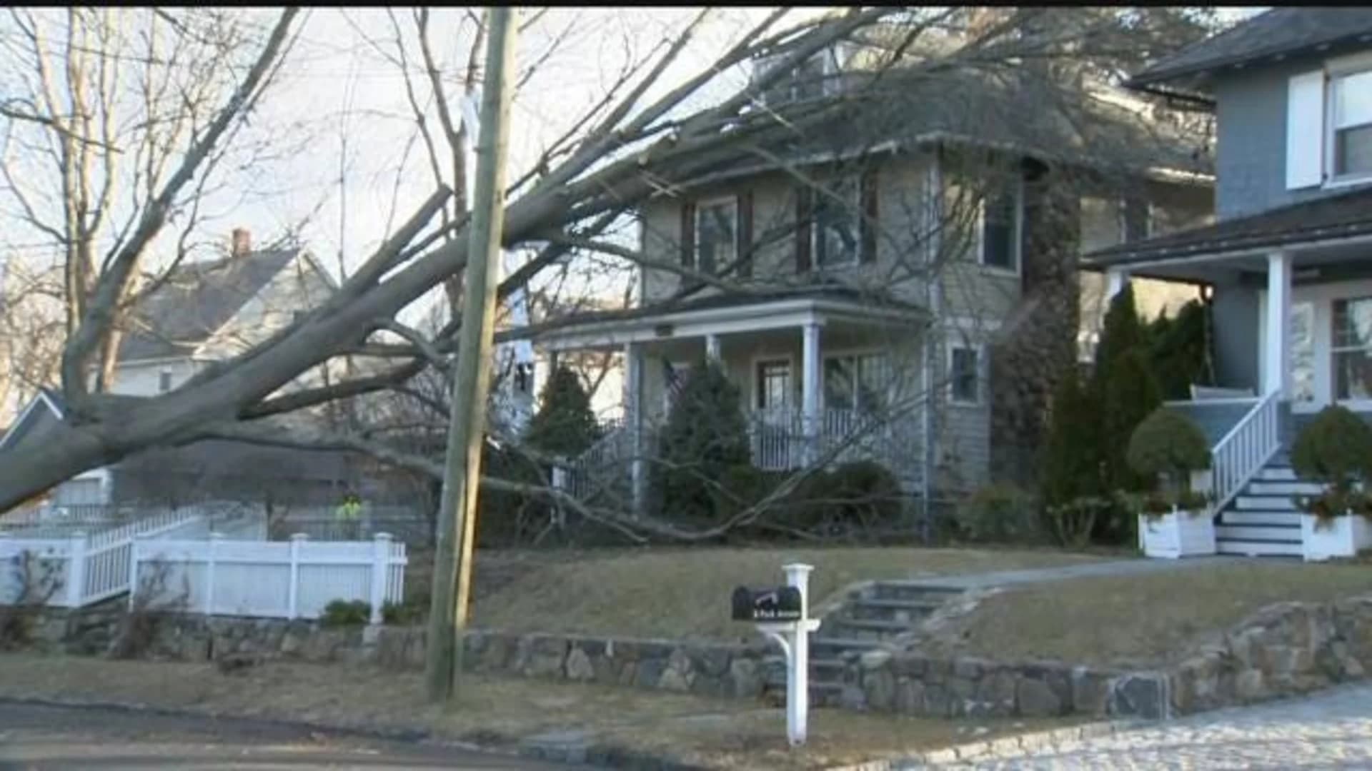 Tree falls onto house, brings live wires down in Greenwich