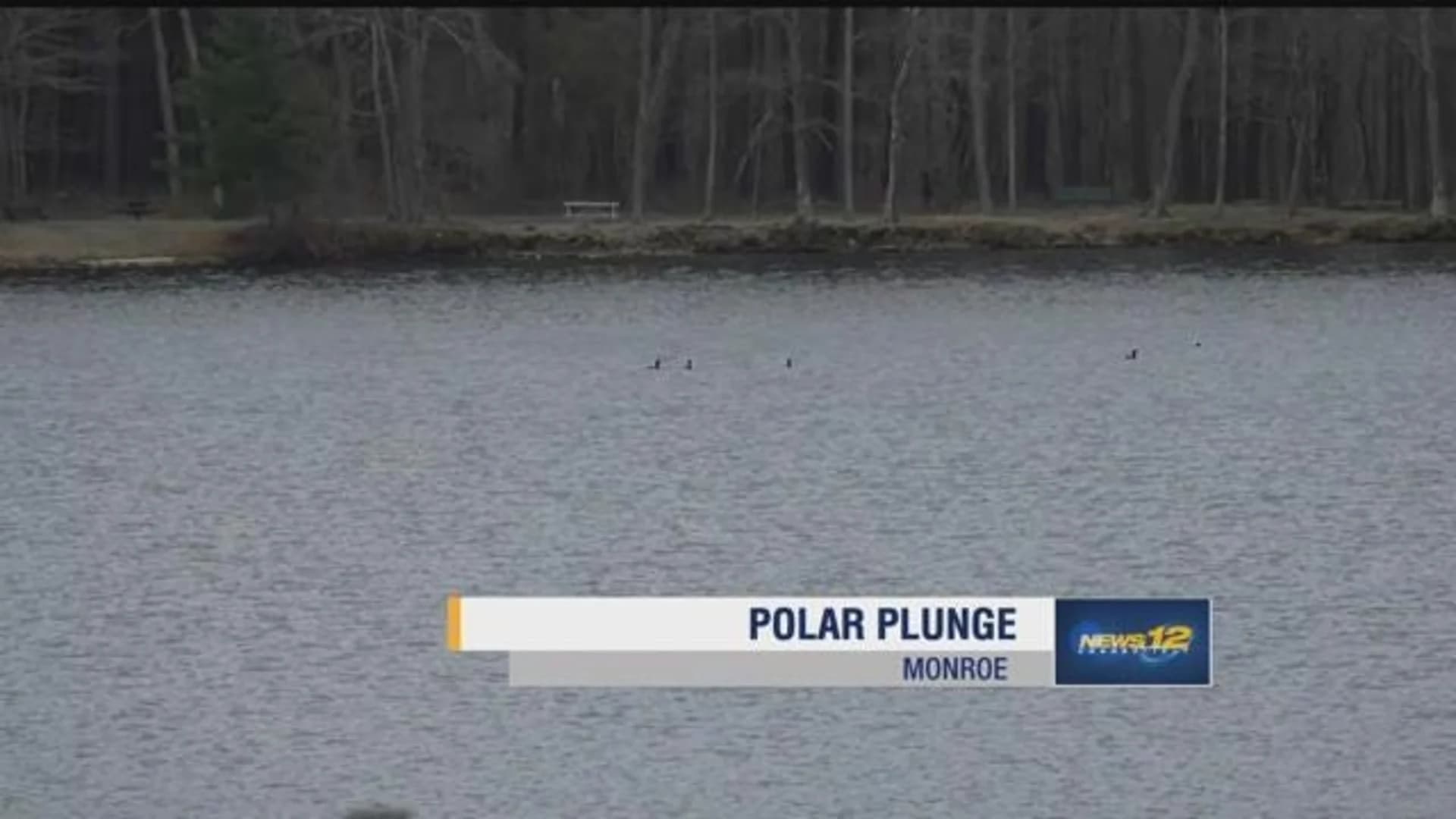 Polar plunge in Monroe helps fund CT Special Olympics