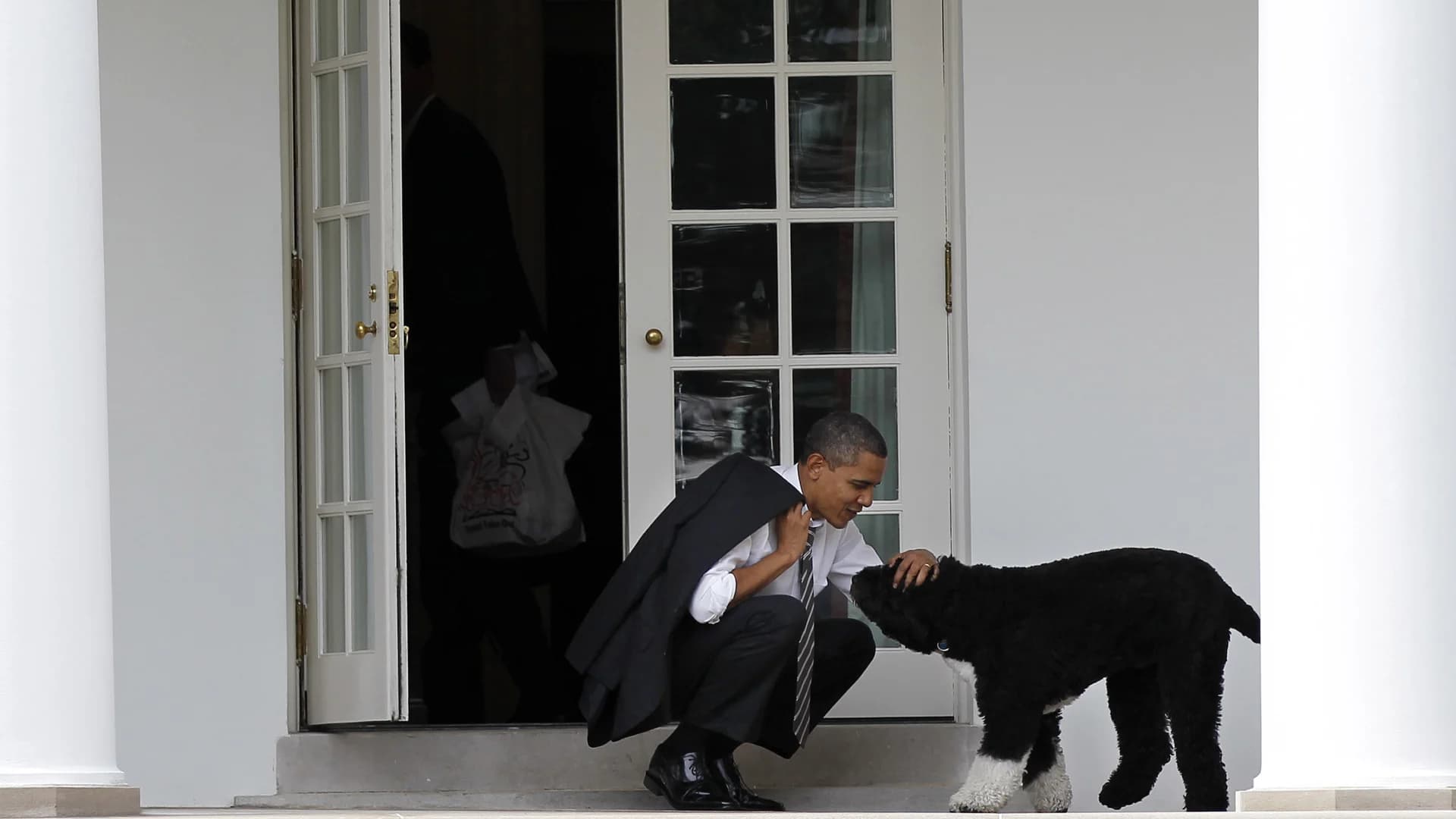 Former President Obama says Bo, family's pet dog, has died 