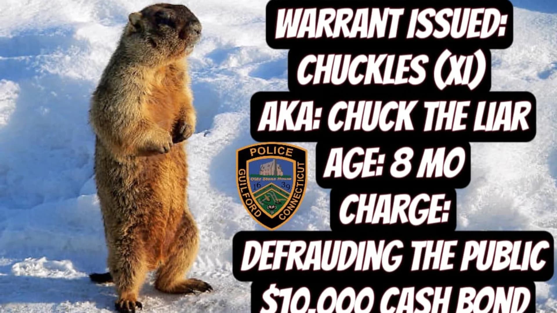 Guildford Police Department: Chuckles the groundhog to blame for cold weather and snow