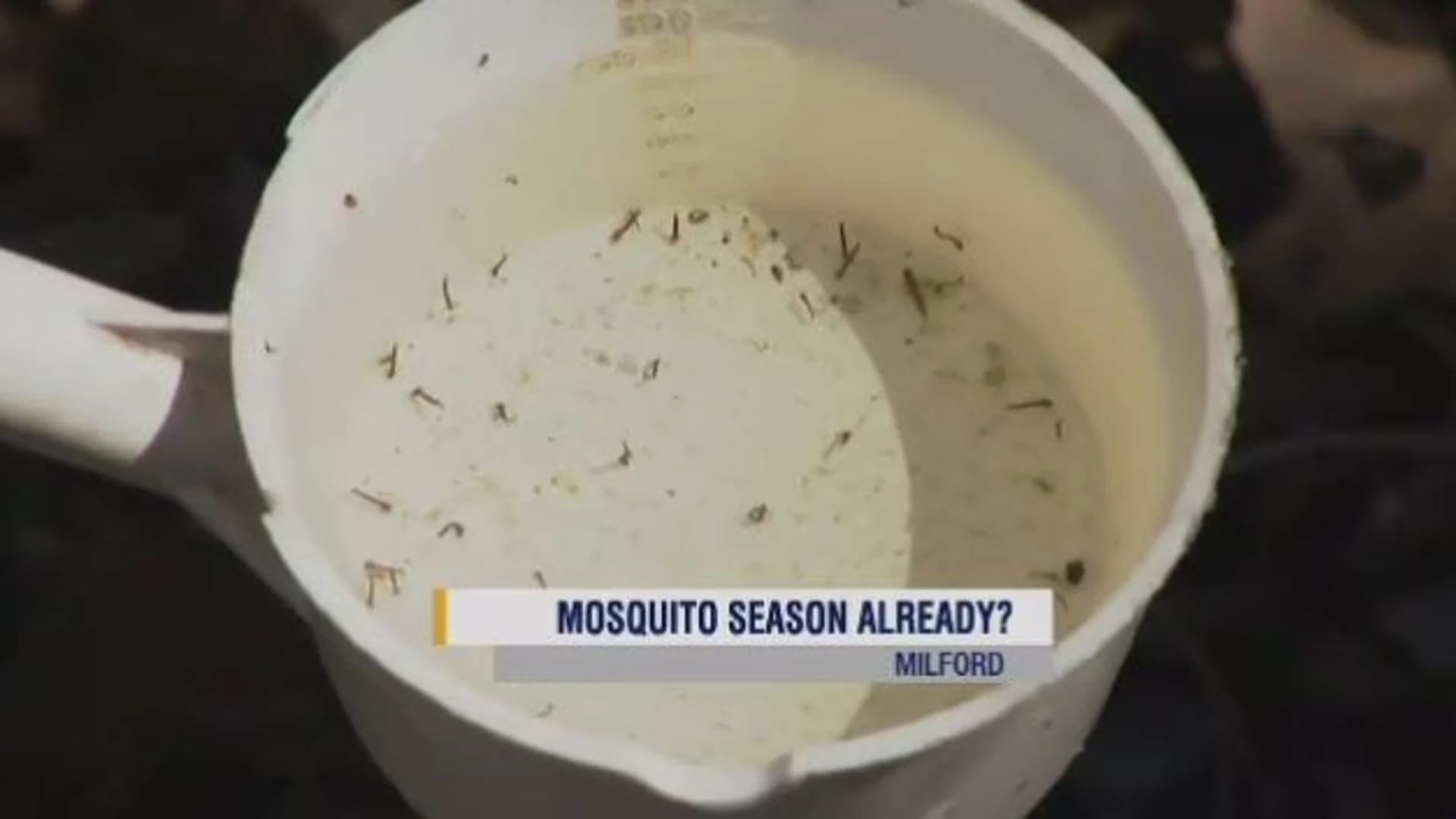 Crews prepare for mosquito season at Eisenhower Park in Milford