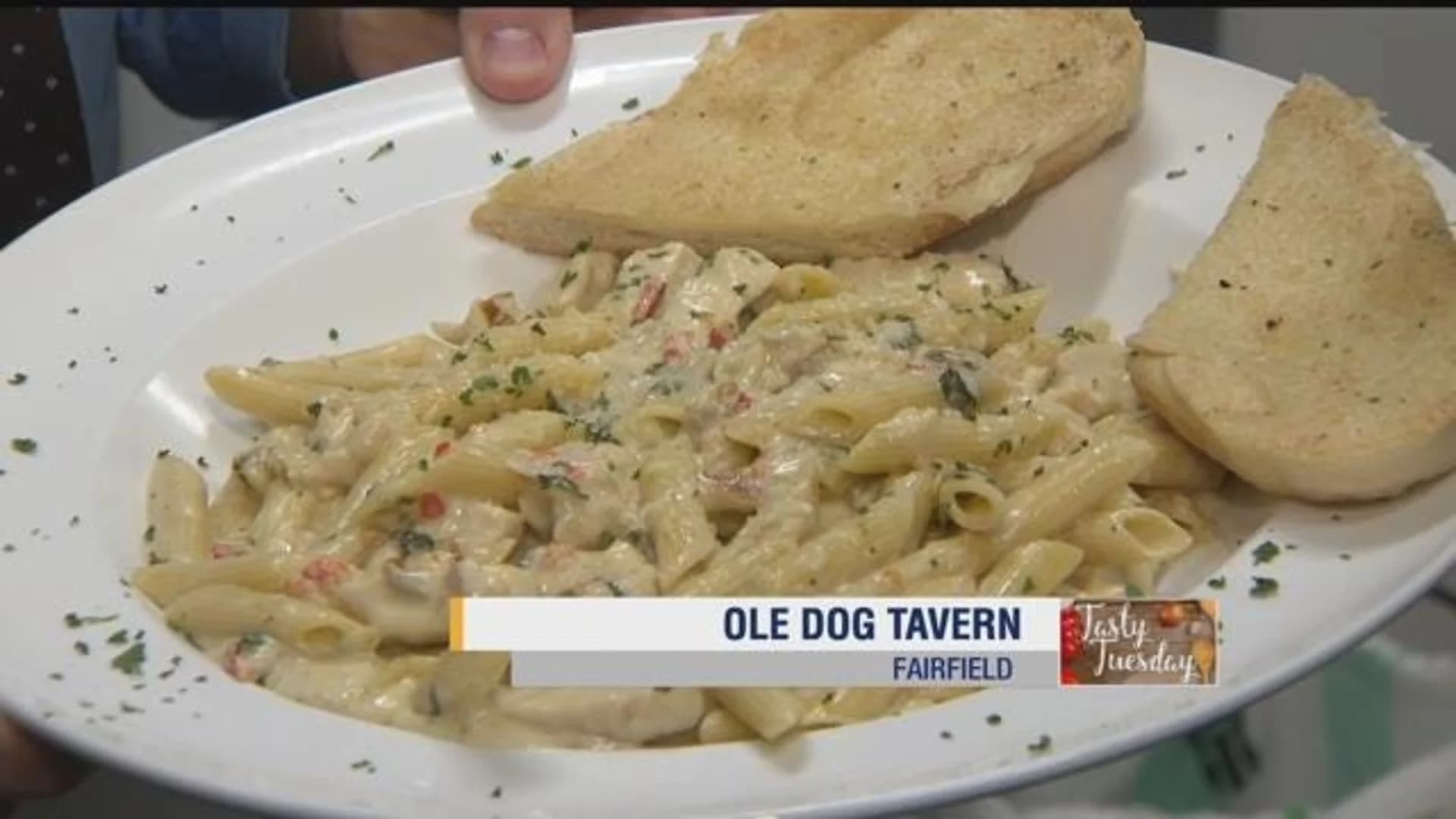 Tasty Tuesday: Ole Dog Tavern